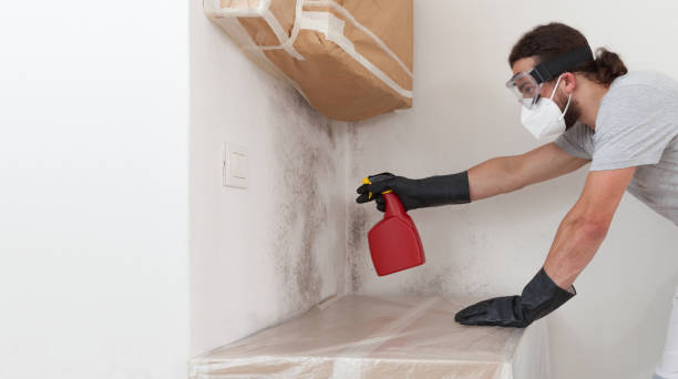 Professional Attic Mold Remediation technician working in Farmington, MN